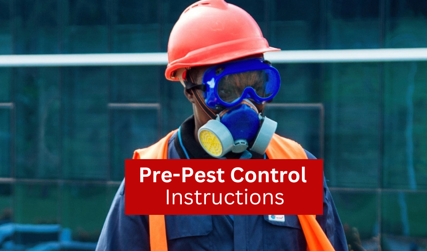 Pre-Pest Control Precautions