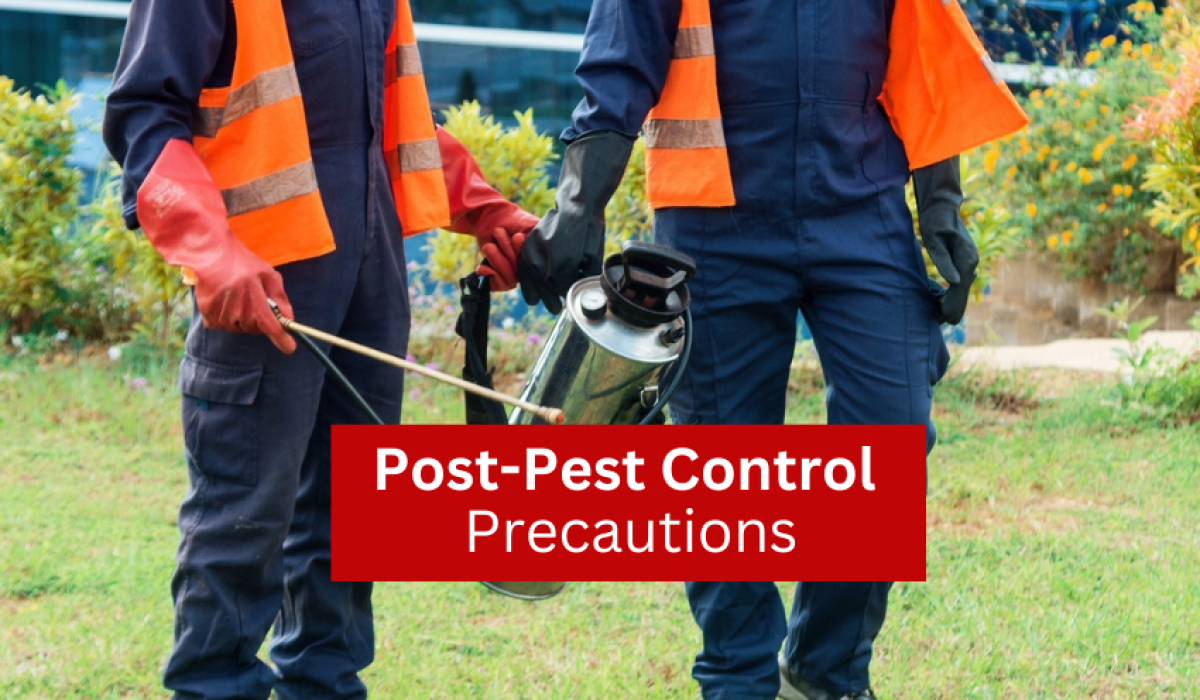 Post-Pest Control Instructions