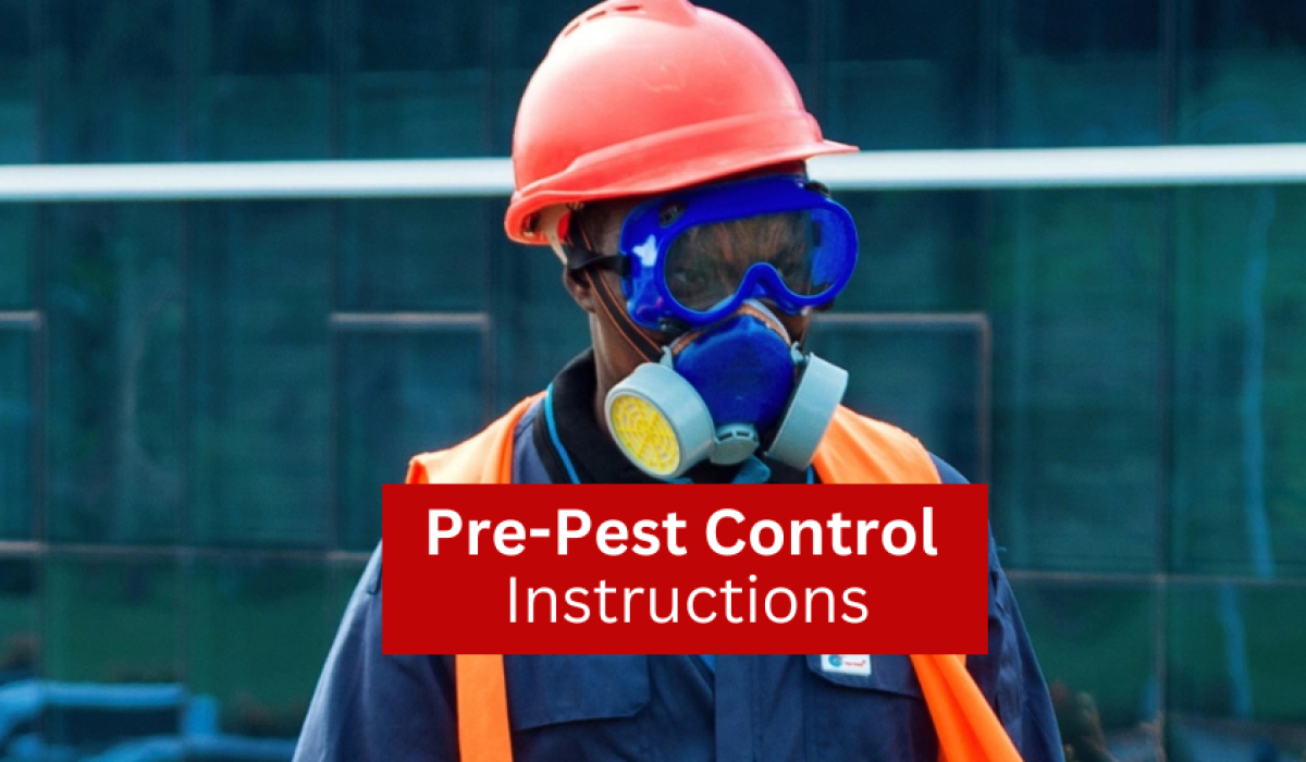 Pre-Pest Control Precautions